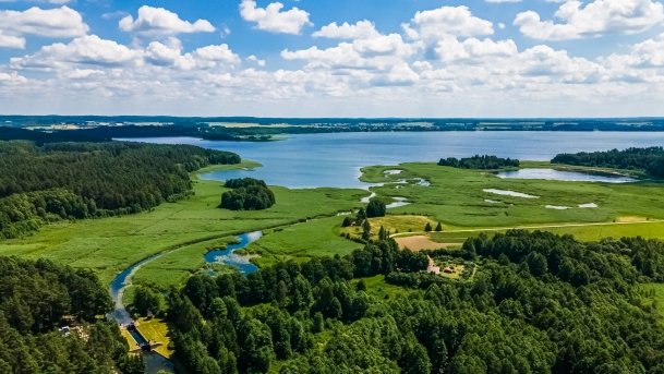 Sapina - zdjęcie 103