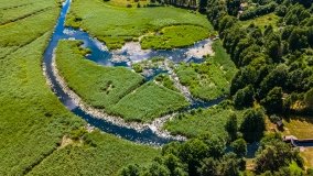 Spływ kajakowy - rzeka Sapina - jez. Święcajty - zdjęcie 99