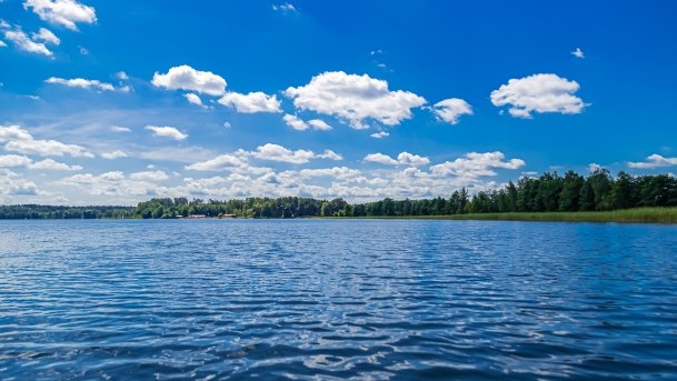 Sapina - zdjęcie 98