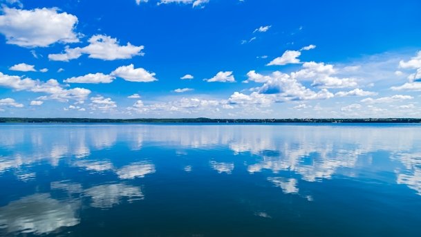 Sapina - zdjęcie 96