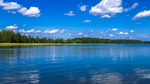 Sapina - zdjęcie 95