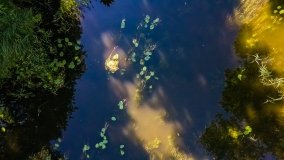 Spływ kajakowy - rzeka Sapina - jez. Święcajty - zdjęcie 94