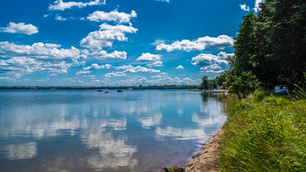 Sapina - zdjęcie 93