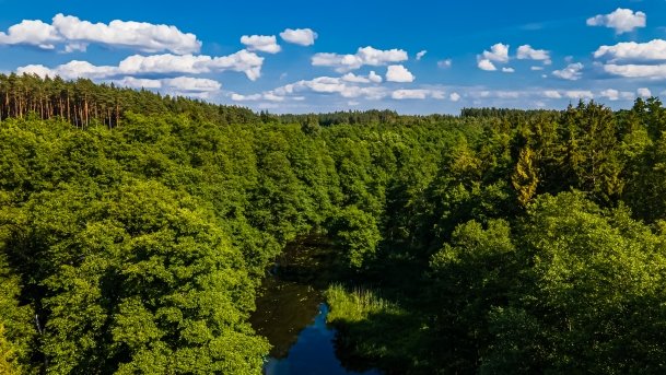 Sapina - zdjęcie 91