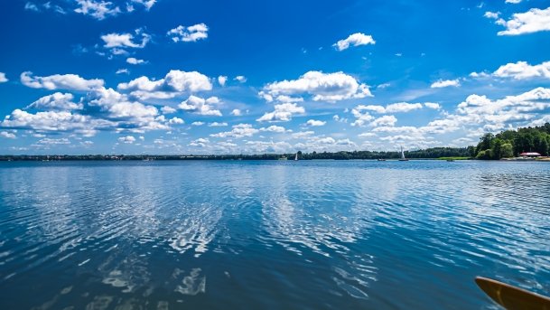 Sapina - zdjęcie 90