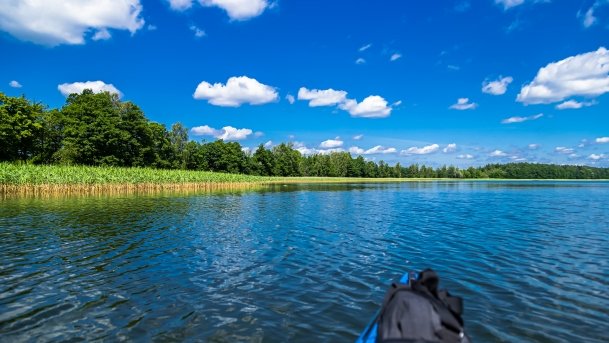 Sapina - zdjęcie 89