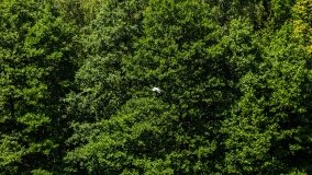 Spływ kajakowy - rzeka Sapina - jez. Święcajty - zdjęcie 87