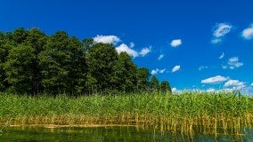 Spływ kajakowy - rzeka Sapina - jez. Święcajty - zdjęcie 84