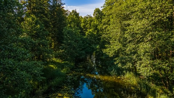 Sapina - zdjęcie 83