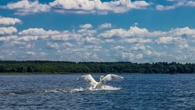 Spływ kajakowy - rzeka Sapina - jez. Święcajty - zdjęcie 82