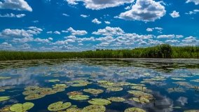 Spływ kajakowy - rzeka Sapina - jez. Święcajty - zdjęcie 80