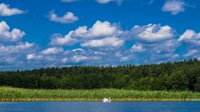 Spływ kajakowy - rzeka Sapina - jez. Święcajty - zdjęcie 78