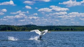 Spływ kajakowy - rzeka Sapina - jez. Święcajty - zdjęcie 77