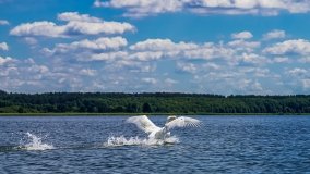 Spływ kajakowy - rzeka Sapina - jez. Święcajty - zdjęcie 76