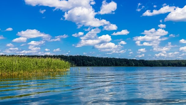 Sapina - zdjęcie 75