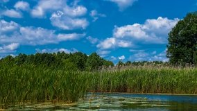 Spływ kajakowy - rzeka Sapina - jez. Święcajty - zdjęcie 74