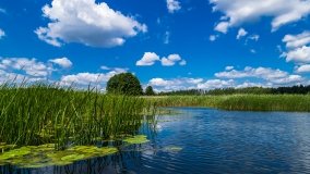 Spływ kajakowy - rzeka Sapina - jez. Święcajty - zdjęcie 73