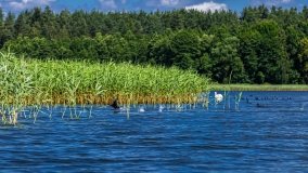 Spływ kajakowy - rzeka Sapina - jez. Święcajty - zdjęcie 72