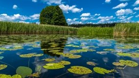 Spływ kajakowy - rzeka Sapina - jez. Święcajty - zdjęcie 71