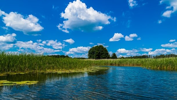 Sapina - zdjęcie 69