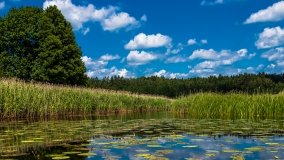 Spływ kajakowy - rzeka Sapina - jez. Święcajty - zdjęcie 68