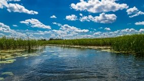 Spływ kajakowy - rzeka Sapina - jez. Święcajty - zdjęcie 67