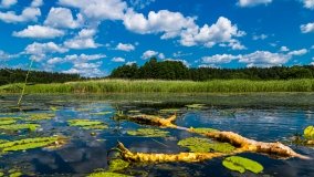 Spływ kajakowy - rzeka Sapina - jez. Święcajty - zdjęcie 65