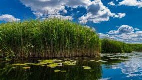 Spływ kajakowy - rzeka Sapina - jez. Święcajty - zdjęcie 58