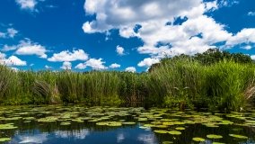 Spływ kajakowy - rzeka Sapina - jez. Święcajty - zdjęcie 56