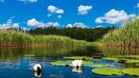 Spływ kajakowy - rzeka Sapina - jez. Święcajty - zdjęcie 54