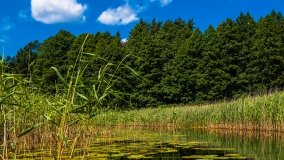 Spływ kajakowy - rzeka Sapina - jez. Święcajty - zdjęcie 52