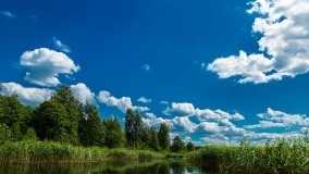 Spływ kajakowy - rzeka Sapina - jez. Święcajty - zdjęcie 43