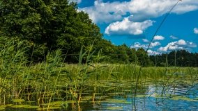 Spływ kajakowy - rzeka Sapina - jez. Święcajty - zdjęcie 42