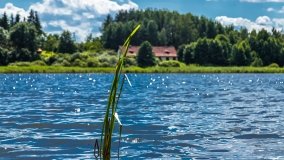 Spływ kajakowy - rzeka Sapina - jez. Święcajty - zdjęcie 41