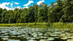 Spływ kajakowy - rzeka Sapina - jez. Święcajty - zdjęcie 40