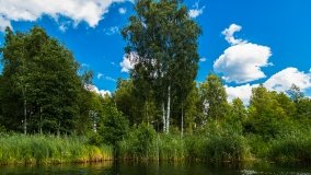 Spływ kajakowy - rzeka Sapina - jez. Święcajty - zdjęcie 37