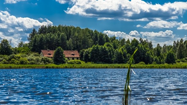 Sapina - zdjęcie 35