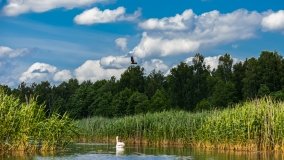 Spływ kajakowy - rzeka Sapina - jez. Święcajty - zdjęcie 34