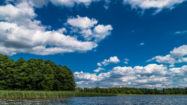 Sapina - zdjęcie 27