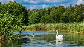 Spływ kajakowy - rzeka Sapina - jez. Święcajty - zdjęcie 23