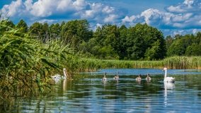 Spływ kajakowy - rzeka Sapina - jez. Święcajty - zdjęcie 22