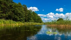 Spływ kajakowy - rzeka Sapina - jez. Święcajty - zdjęcie 20