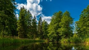 Spływ kajakowy - rzeka Sapina - jez. Święcajty - zdjęcie 18