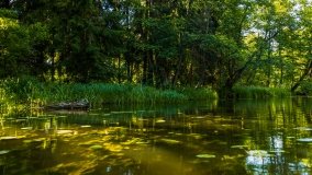 Spływ kajakowy - rzeka Sapina - jez. Święcajty - zdjęcie 15