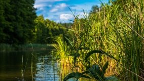 Spływ kajakowy - rzeka Sapina - jez. Święcajty - zdjęcie 7