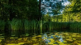 Spływ kajakowy - rzeka Sapina - jez. Święcajty - zdjęcie 6