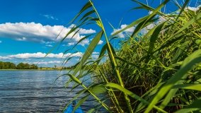 Spływ kajakowy - rzeka Sapina - jez. Święcajty - zdjęcie 3