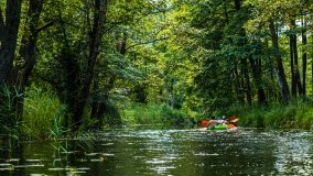 Spływ kajakowy - rzeka Sapina - jez. Święcajty - zdjęcie 2