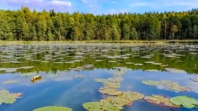 Spływ kajakowy - rzeka Struga Krawno - zdjęcie 8