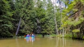 Spływ kajakowy - rzeka Struga Krawno - zdjęcie 7